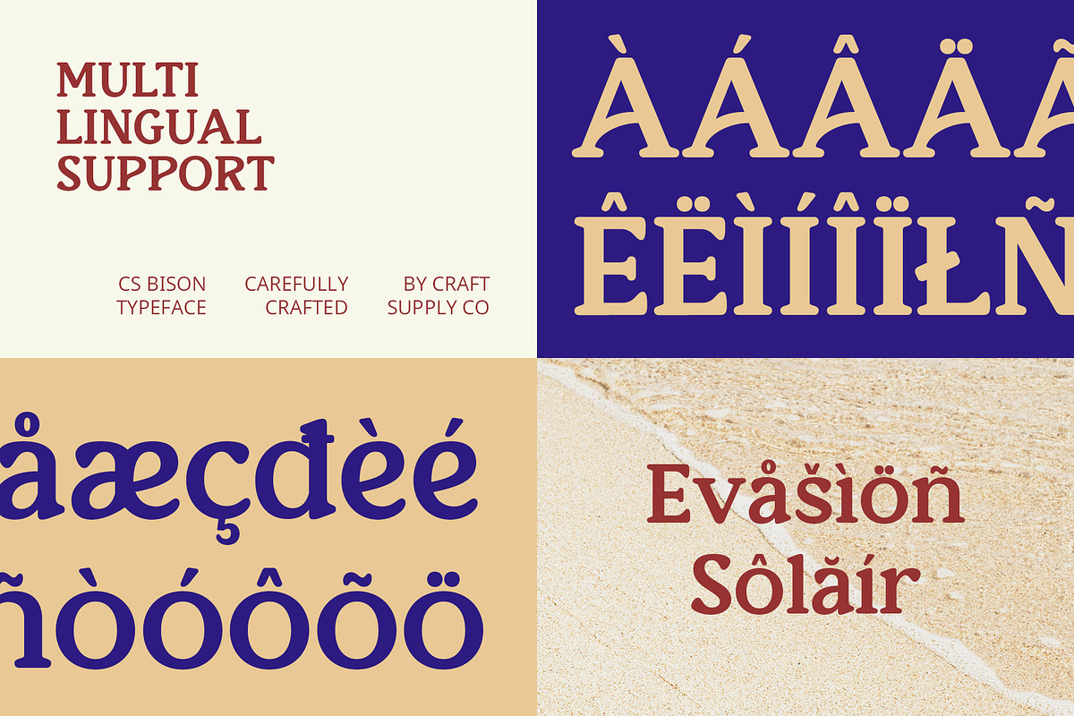 CS Bison – Retro Font, a Serif Font by Craft Supply Co. (Photo 6 of 8)