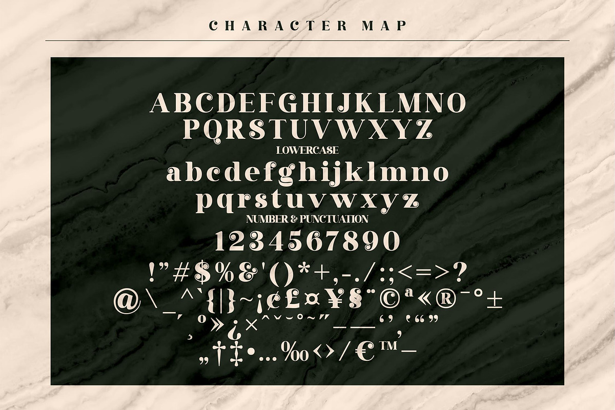 Gisrida Modern Serif Font, a Serif Font by Storytype Studio (Photo 6 of 8)