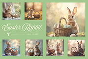 Easter Rabbit, a Holiday Photo by Typedreams.site (Thumbnail 1 of 7)