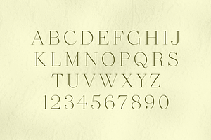 Revaux Elegant Serif Typeface