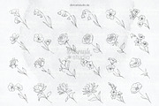 Procreate Birth Flowers Tattoo, a Brushes & More by DiBrush Studio (Thumbnail 4 of 5)