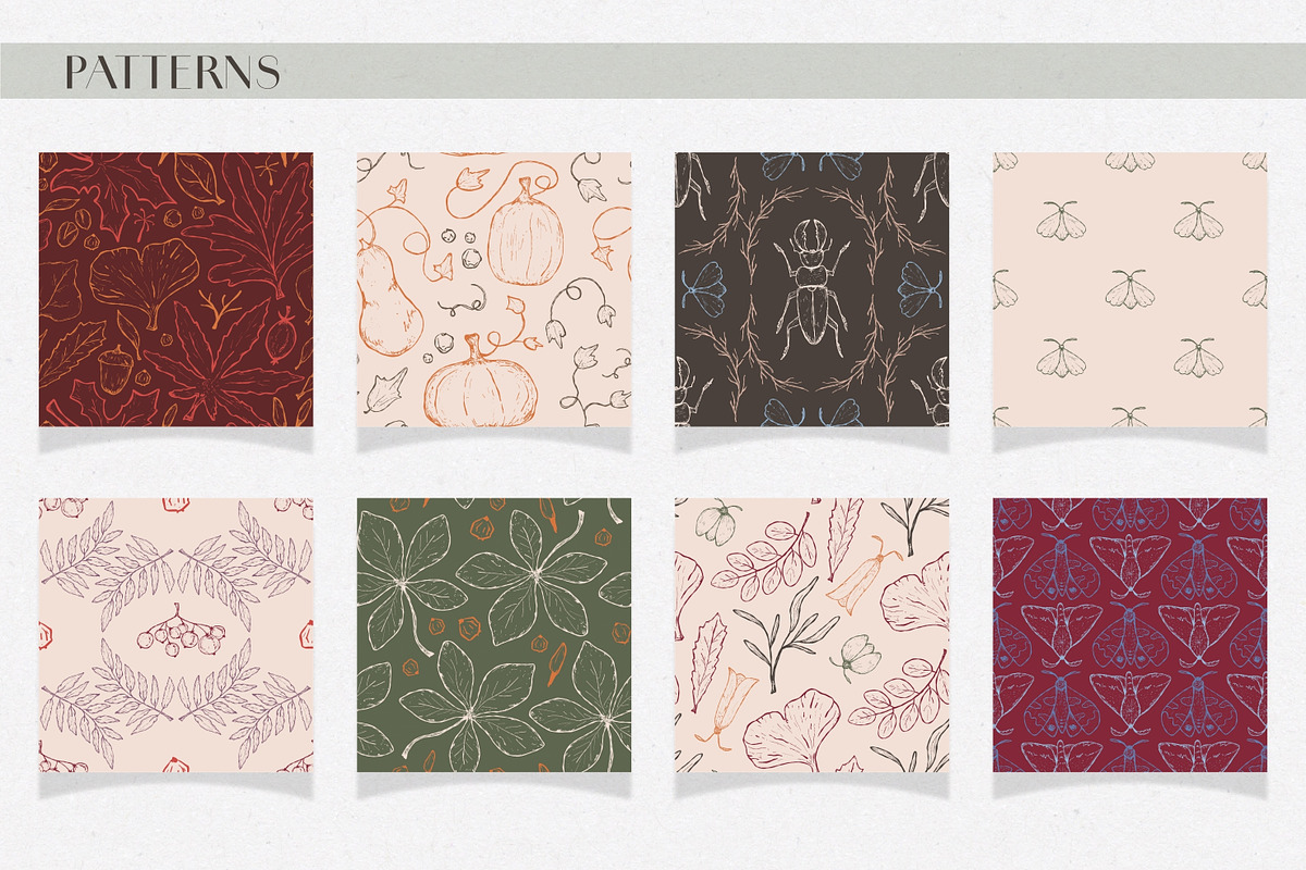 Autumn botanical hand-drawn graphics, a Decorative Illustration by CapriceMeDesigns (Photo 8 of 11)