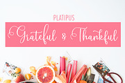Platipus Script, a Script Font by Areatype (Thumbnail 4 of 7)