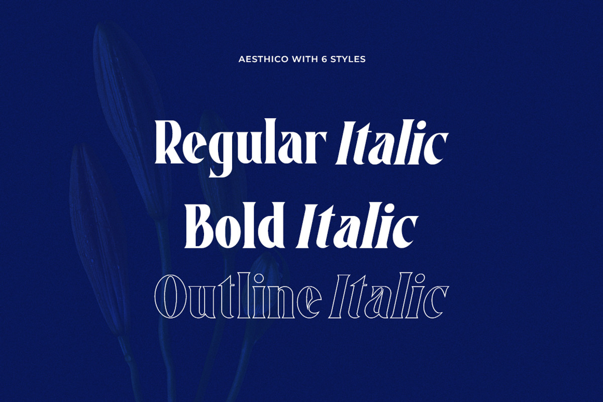 Aesthico Serif Font Family (6 Fonts), a Serif Font by Heinzel Std (Photo 7 of 21)