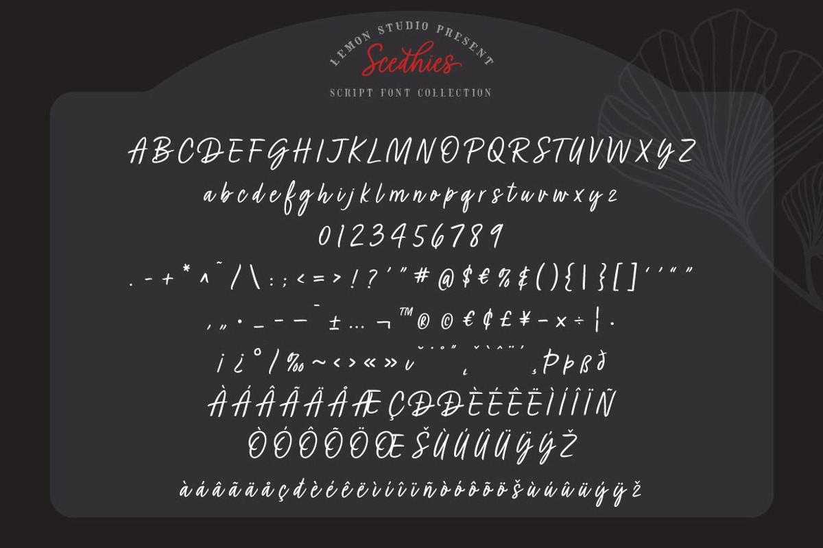 Scedhies - Script, a Script Font by Lemon Studio Type (Photo 7 of 9)