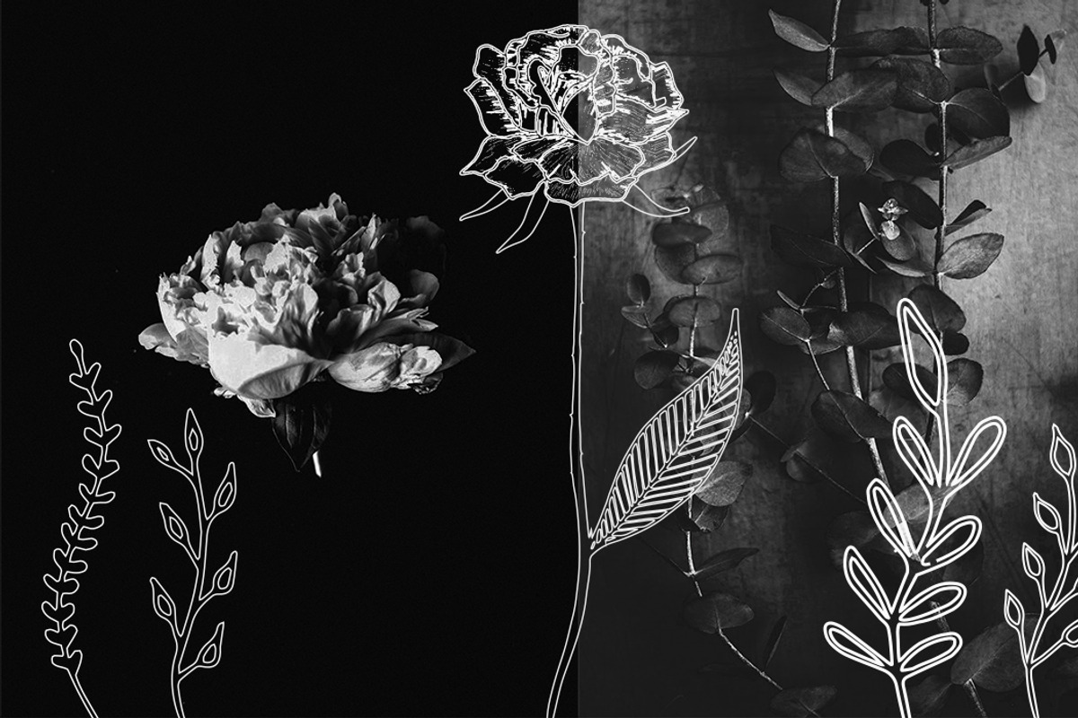 Minimalistic Floral Illustrations, a Decorative Illustration by Chimerique (Photo 3 of 9)