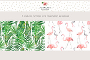 FLAMINGO PARADISE watercolor set, an Illustration by Natali Smolova (Thumbnail 6 of 11)