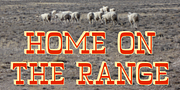 WyomingPastad, a Slab Serif Font by Ingrimayne Type (Thumbnail 1 of 5)