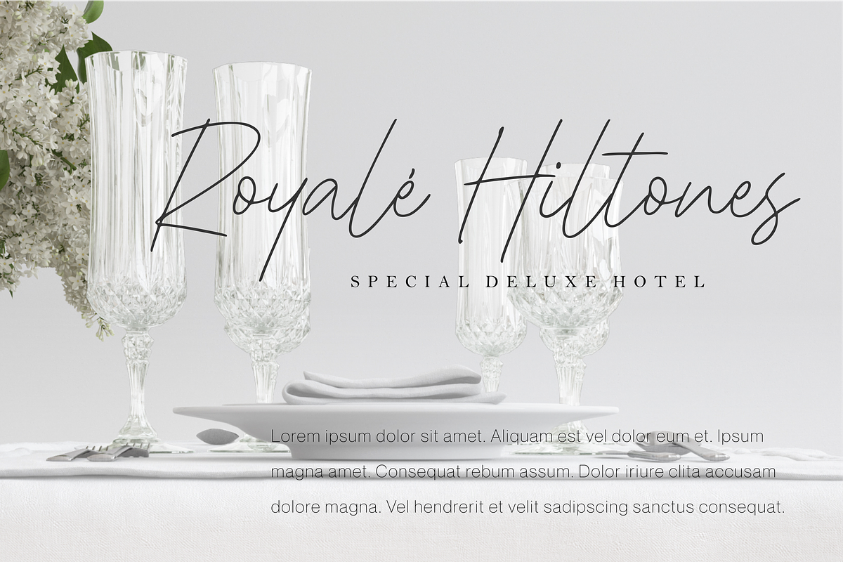 Shinymotion A Monoline Script Font, a Script Font by Allouse Studio (Photo 4 of 10)