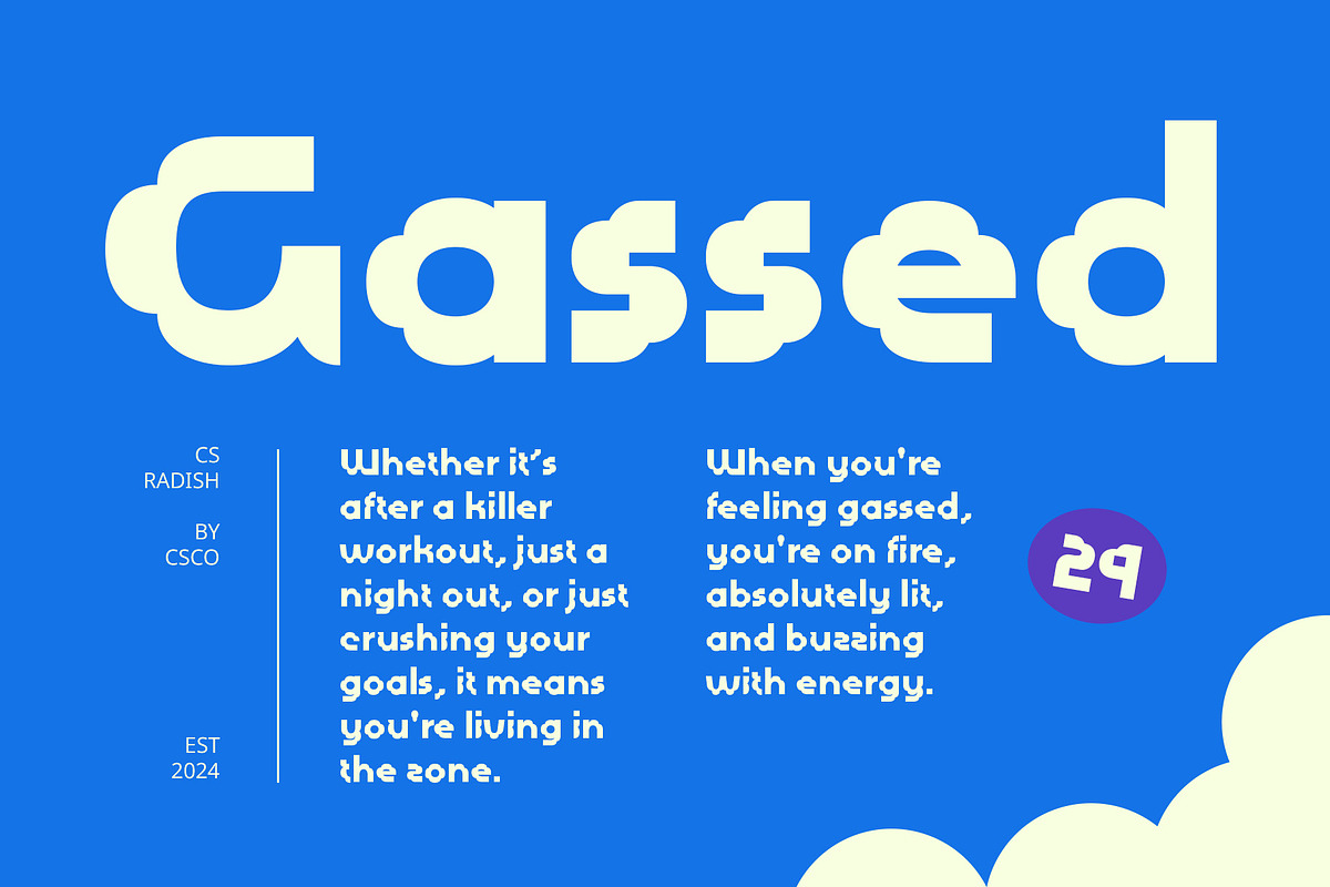 CS Radish – Decorative Font, a Sans Serif Font by Craft Supply Co. (Photo 2 of 8)