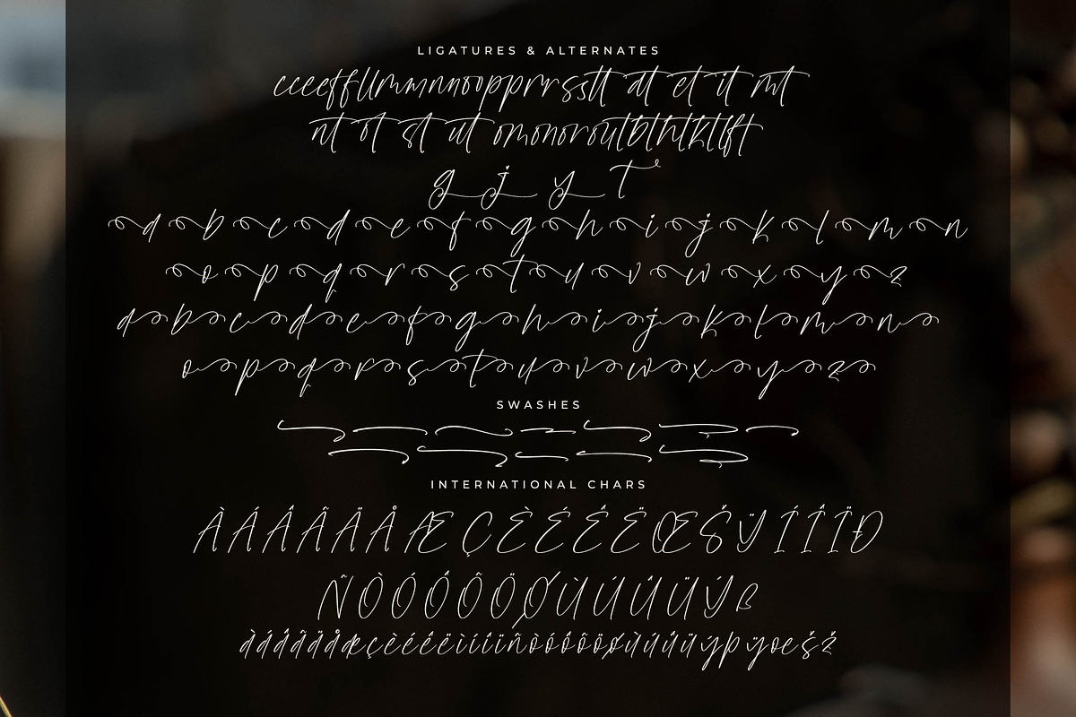 Sanetury Grethan Elegant Script, a Script Font by Letterena Studios Script (Photo 14 of 15)