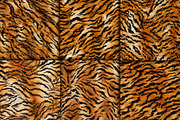 Realistic Tiger Fur Print Texture, a Pattern Graphic by Artonix (Thumbnail 3 of 5)