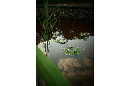 Midsummer solstice or Ivan Kupala