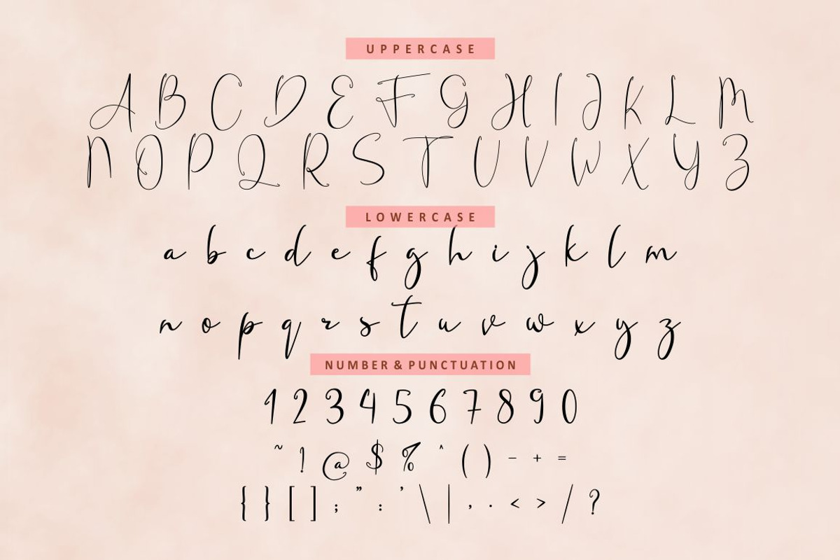 Fanish Elegant Signature Font, a Script Font by PutraCetol Studio (Photo 3 of 11)