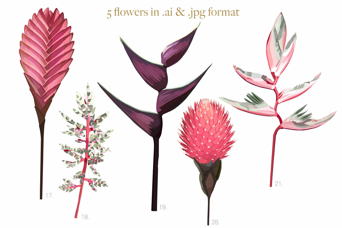 Pink tropical frames and patterns, an Illustration by marie dricot (Photo 14 of 15)