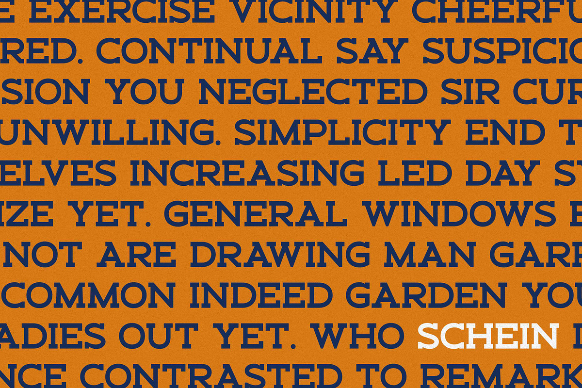 SCHEIN - Sans Serif & Slab Serif, a Sans Serif Font by Almarkhatype (Photo 2 of 10)