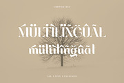 Luckenbach - Modern Serif Font, a Serif Font by Cruzine (Thumbnail 9 of 9)