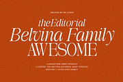 The Belvina Editorial 13 Font Style, a Serif Font by IM Studio (Thumbnail 3 of 14)