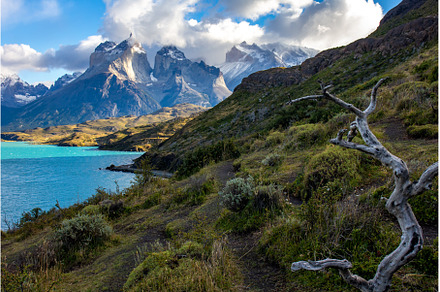 Pehoe lake in Torres del Paine, a Nature Photo by LARISA BLINOVA
