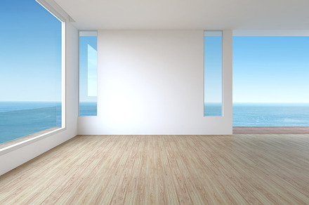 Living room empty