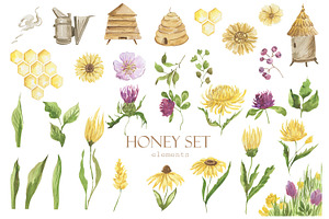 Honey Watercolor Set