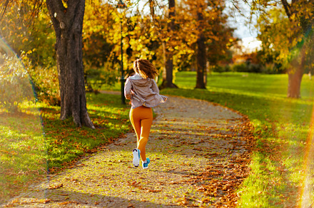 Seen from behind fit woman in fitness clothes in park jogging, a Sports & Recreation Photo by Alliance Images