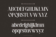 Basgira - Modern Hindi Font, a Font by Flawless And Co (Thumbnail 8 of 10)