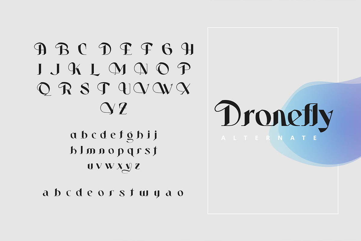 Dronefly Typeface, a Serif Font by alit design (Photo 8 of 15)