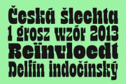 TNSC Bink - Slab Serif Display, a Slab Serif Font by The Native Saint Club (Thumbnail 6 of 16)
