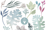 Fantasia. Watercolor flowers pack, an Illustration by Watercolor Nomads (Thumbnail 2 of 3)