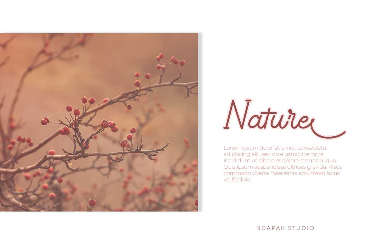 Affriel | Simple Elegant Font, a Script Font by Ngapak Studio (Photo 4 of 9)