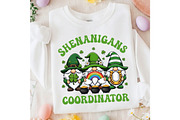 St Patricks Shenanigans Coordinator, an Illustration by designcity5 (Thumbnail 3 of 9)