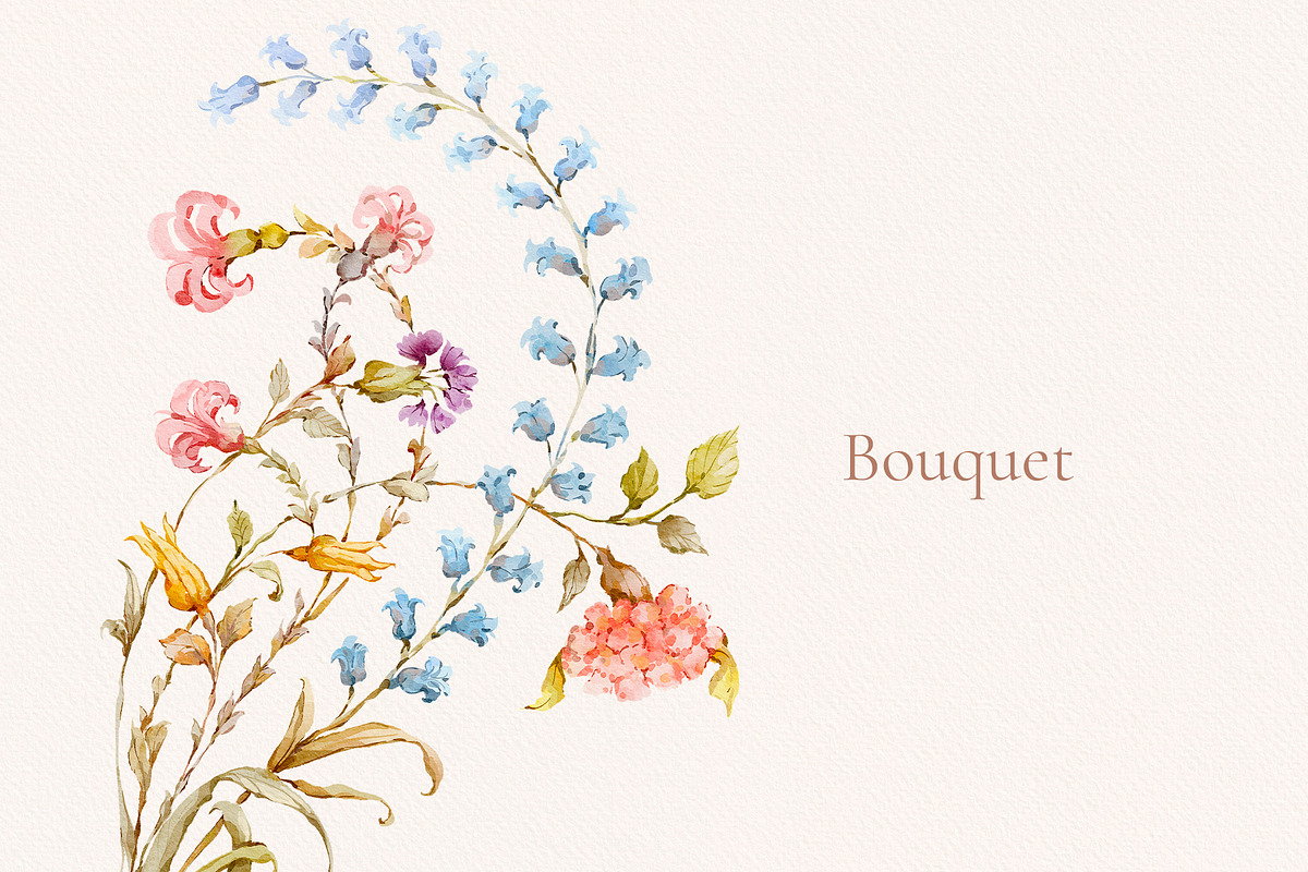 Wild Flower Clip art, a Decorative Illustration by Ekaproeka (Photo 8 of 10)