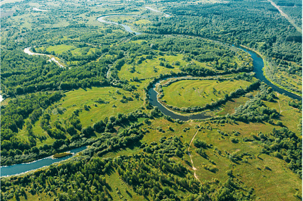 Aerial View Green Forest Woods And, a Nature Photo by Our Amazing World