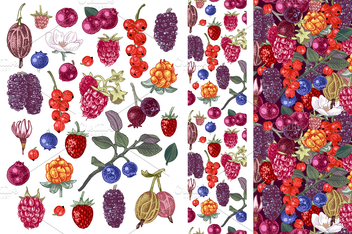 Fresh berries, a Food Illustration by handsketched (Photo 4 of 21)