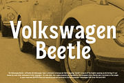 Bradia, a Serif Font by Locomotype (Thumbnail 3 of 12)