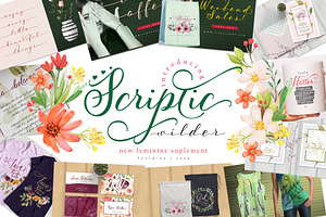 Scriptic Wilder