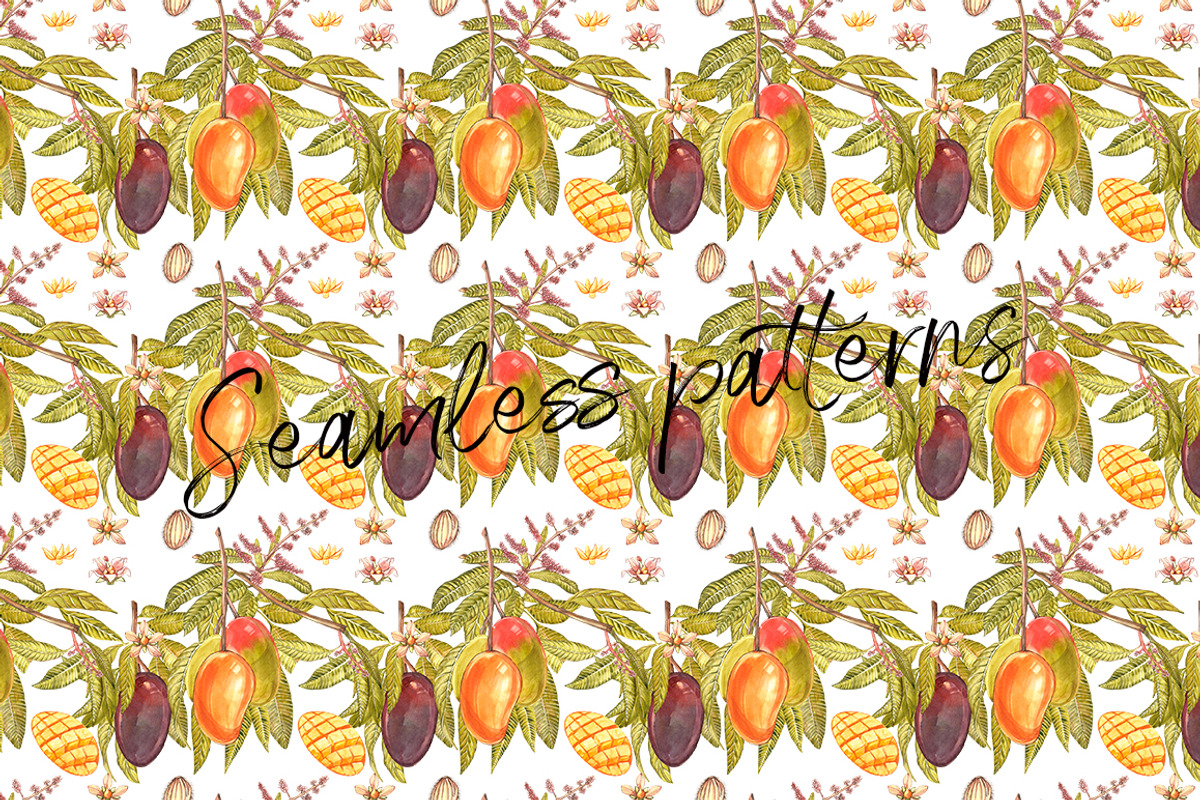 Mango clipart in botanical style, a Food Illustration by Ann Astro (Photo 9 of 10)