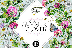 SUMMER CLOVER Watercolor Wildflowers