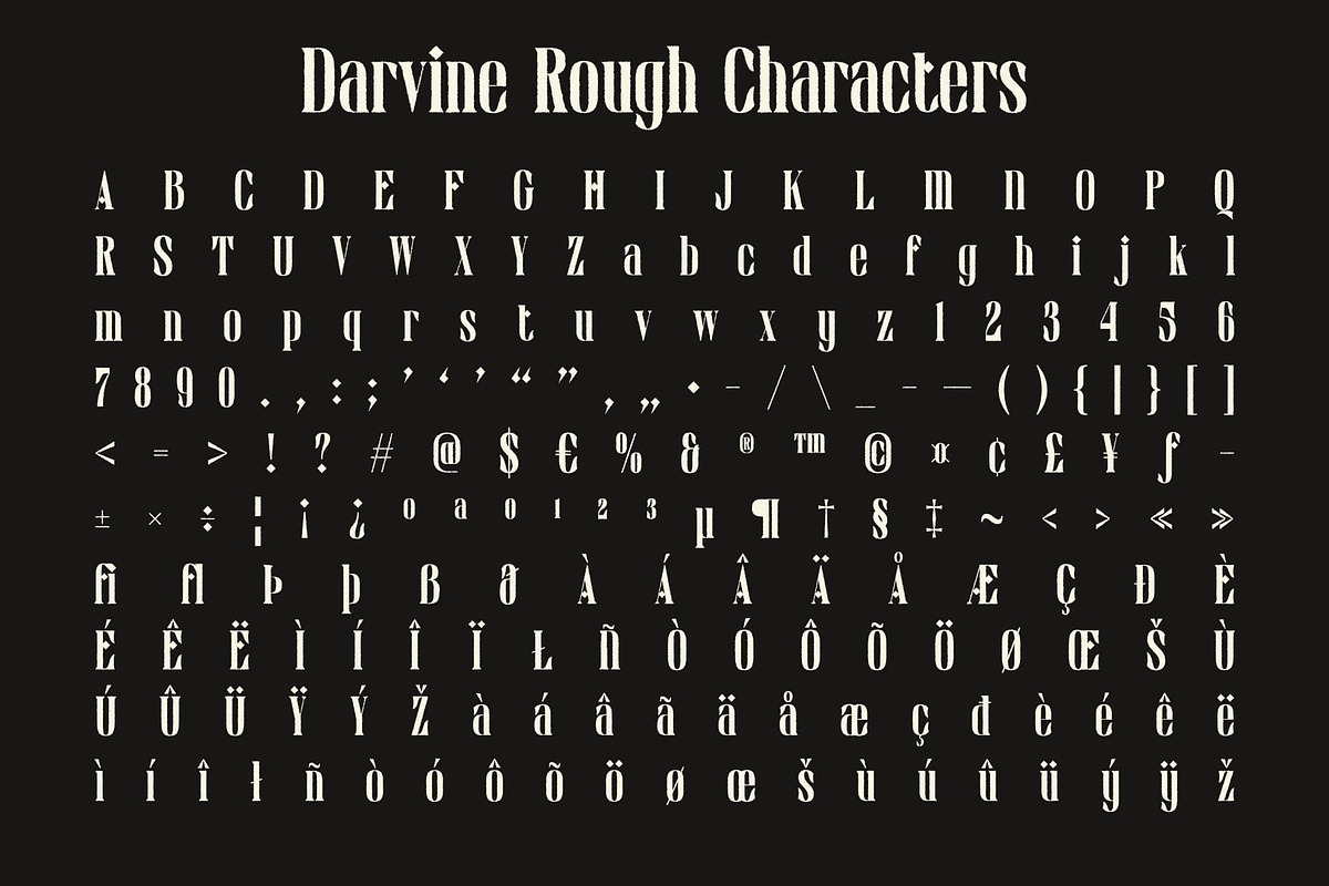 Darvine Rough, a Serif Font by Craft Supply Co. (Photo 8 of 8)