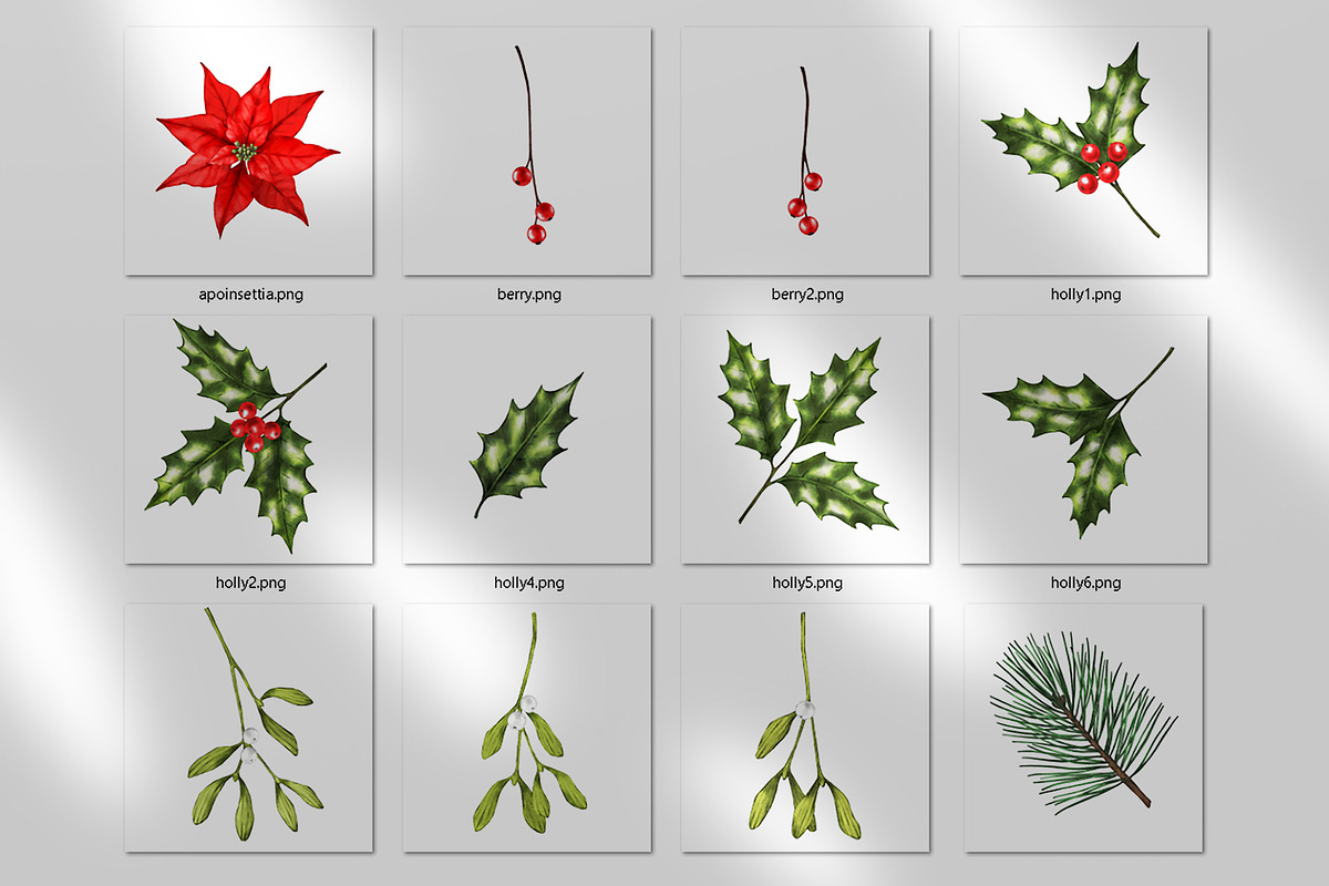 Poinsettia seamless pattern png., a Pattern Graphic by ARTVracovska (Photo 2 of 6)