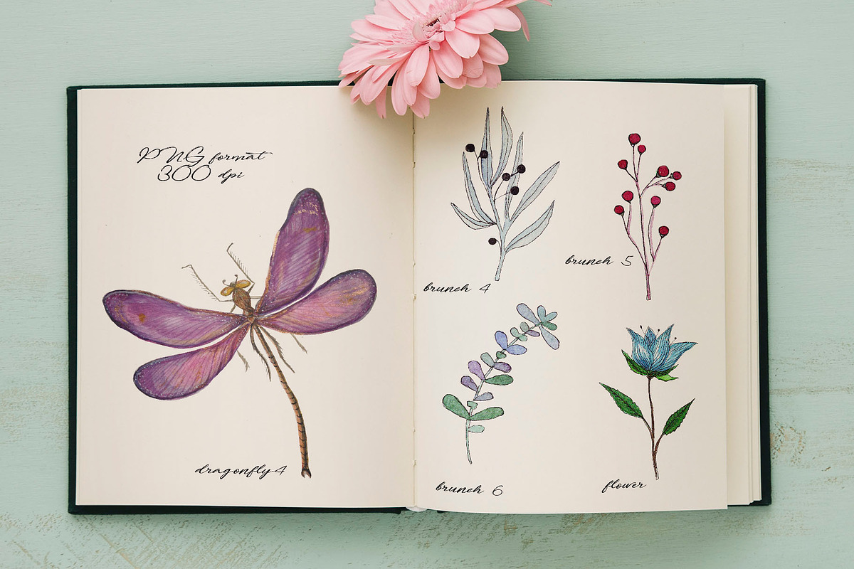 DRAGONFLIES. Watercolor clipart, an Illustration by digital_essence (Photo 4 of 10)