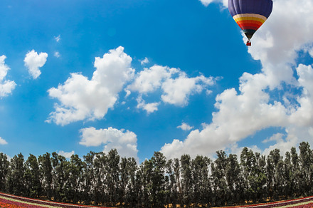 Large bright balloon