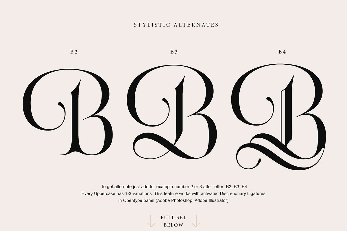 Acris Serif, a Serif Font by Andrey Sharonov (Photo 9 of 16)