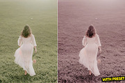 Pink Dream Presets for Lightroom, a Preset Add-On by Hubzway (Thumbnail 2 of 5)