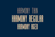 The Harmony - Condensed font family, a Sans Serif Font by Roman Paslavsky (Thumbnail 2 of 12)