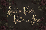 Glyphera Amber - Magical Story Font, a Handwritten Font by HypeWorksCo (Thumbnail 9 of 24)