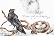 Watercolor Nature and Birds set, an Illustration by Alamella (Thumbnail 3 of 13)