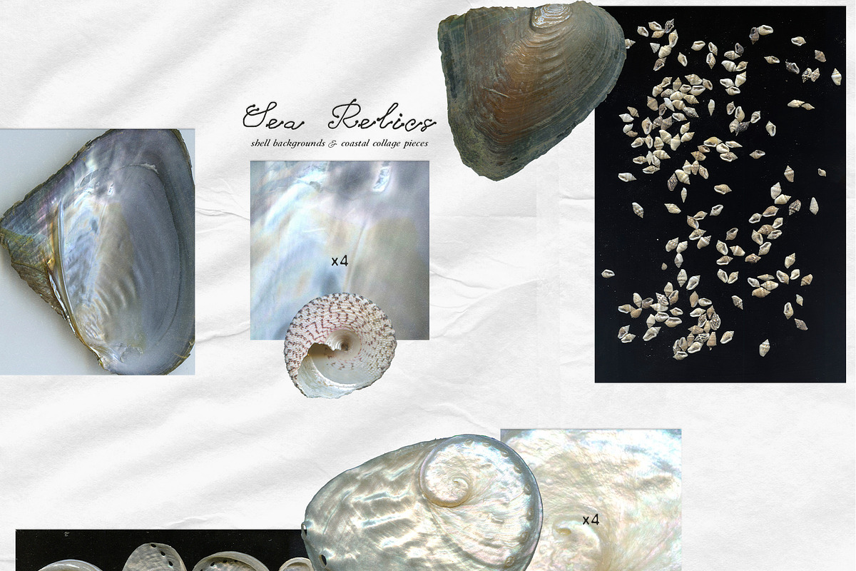 Sea Relics: Objects & Backgrounds, an Object Graphic by Purple (Photo 3 of 14)