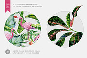 Rainforest illustrations, an Illustration by Anna Myslivets Art (Thumbnail 2 of 7)